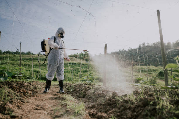 Best Commercial Pest Control Services  in Cambridge, WI
