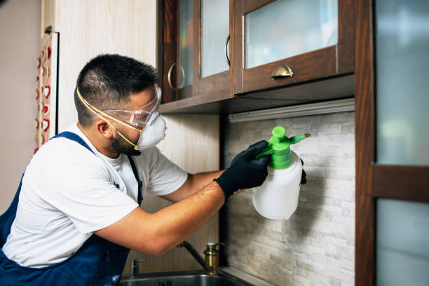 Best Pest Prevention Services  in Cambridge, WI