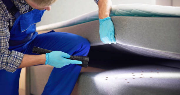 Best Best Pest Control Companies  in Cambridge, WI
