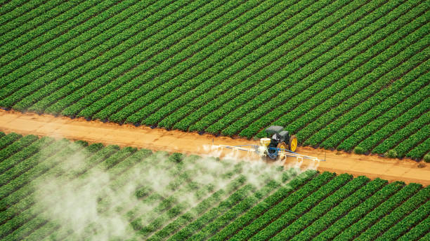 Best Affordable Exterminators  in Cambridge, WI