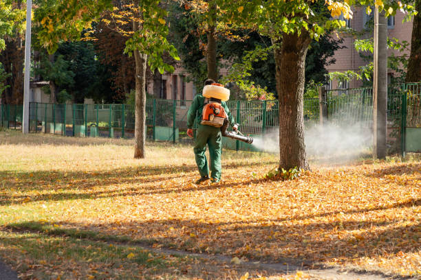 Best Wildlife Control Services  in Cambridge, WI