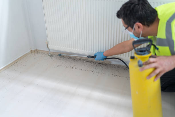Best Mosquito Control Services  in Cambridge, WI